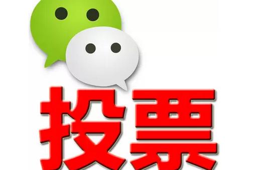 东莞市微信投票功能开发 上传图片投票